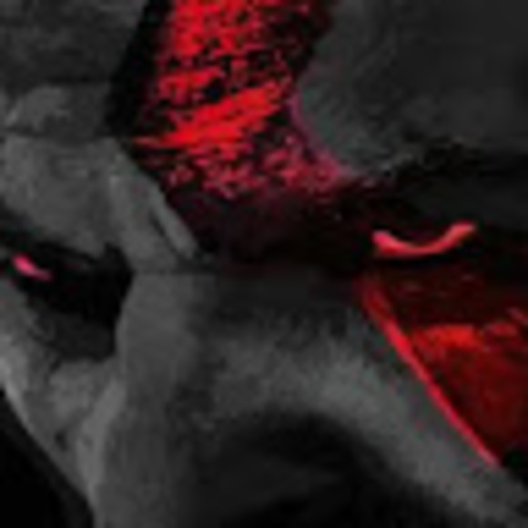 Meet your Posher, Brent - Picture 1 of 1